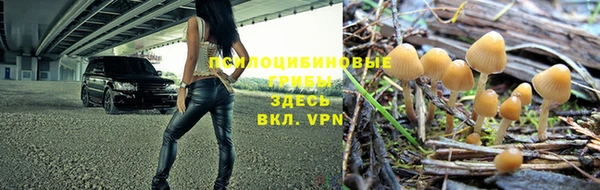марки nbome Алексеевка